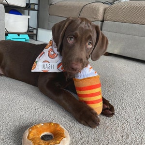 Olivia heeft een foto van de aankoop toegevoegd