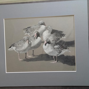 Beate added a photo of their purchase