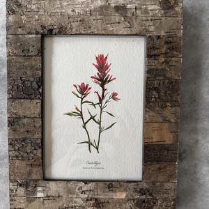 Heather added a photo of their purchase