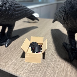Sonne added a photo of their purchase