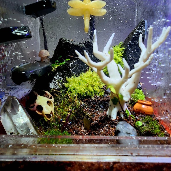 3D Universal Treehouse Insert for Jumping Spiders and Invertebrate ...