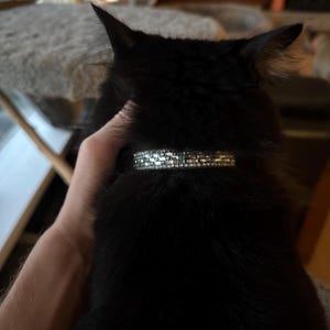 Evan added a photo of their purchase