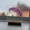 Everlasting Glass Double Flower Blue & Chocolate main image 0