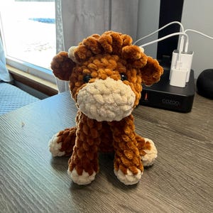 Talitha added a photo of their purchase