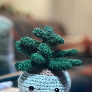 Donna added a photo of their purchase