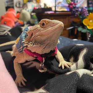 Erin added a photo of their purchase