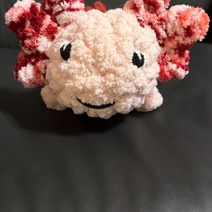 Loop added a photo of their purchase