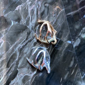 Rachel added a photo of their purchase