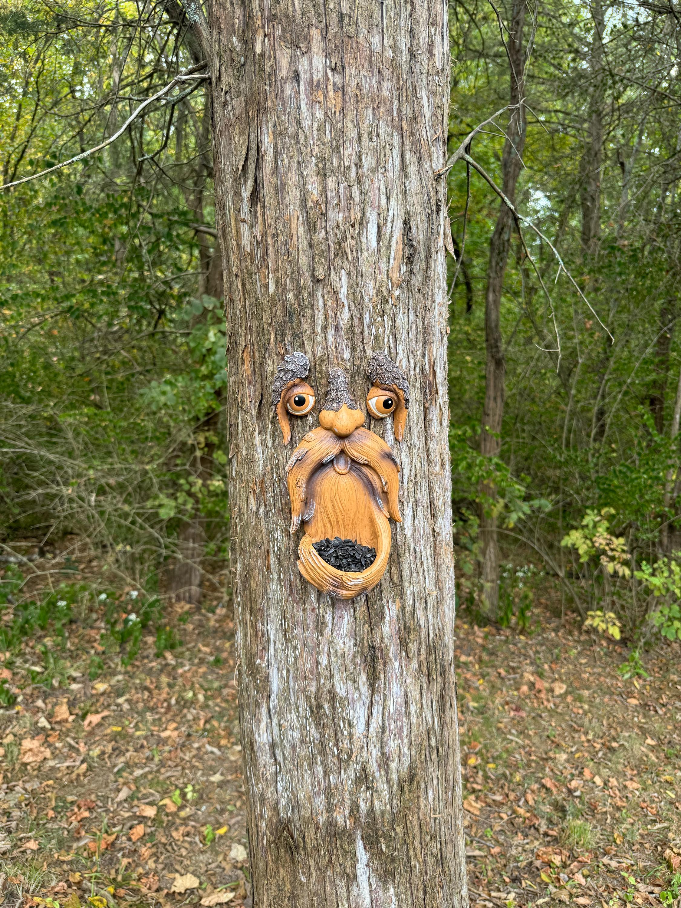 Tree Faces Garden Decor –Tree Hugger Bird Feeder– Yard Art– gift for dad- tree decorations outdoor- Garden Sculpture- Magical face for tree