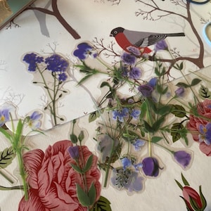 Polina added a photo of their purchase
