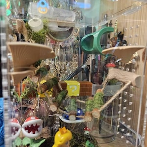 Molly added a photo of their purchase