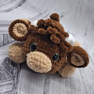 Rachel added a photo of their purchase