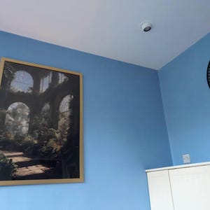 Forest added a photo of their purchase