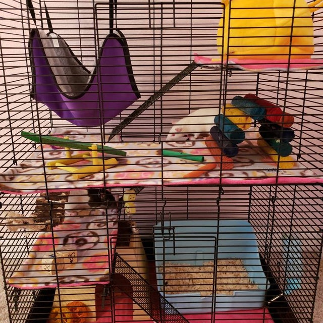 Custom rat manor cage liners rat cage 4 pc set custom Etsy