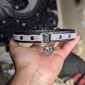 Luna added a photo of their purchase