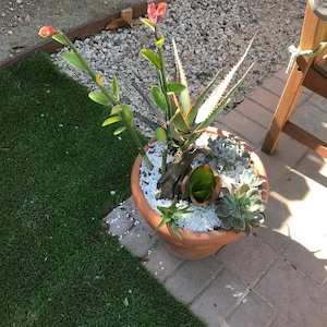 June added a photo of their purchase