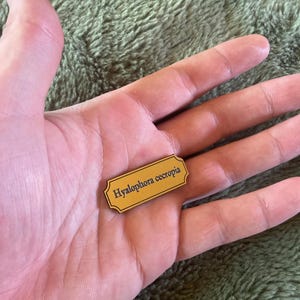 Joel a ajouté une photo de son achat