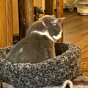 Sheri added a photo of their purchase