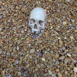 David added a photo of their purchase