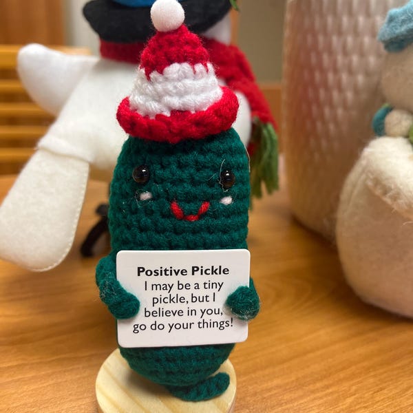 Appreciation Gift, Handmade Knit Pickle With Positive Card, Funny Gifts For Friends, Teacher, Girls, Him, I Love You Gifts