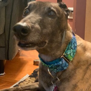 huggable hounds etsy