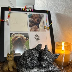 Karen added a photo of their purchase