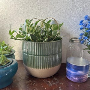 Tawney added a photo of their purchase