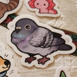 Hannah ha añadido una foto de su compra
