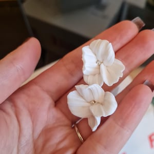 Rachel added a photo of their purchase