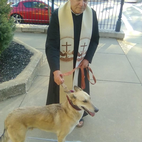 Custom Ribbon Display, Dog Award Ribbon Display Rack, Dog Rosette ...