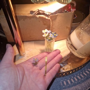 Eva added a photo of their purchase