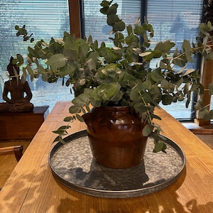 Virpi added a photo of their purchase