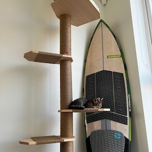 Sergey added a photo of their purchase