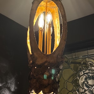 Melissa added a photo of their purchase