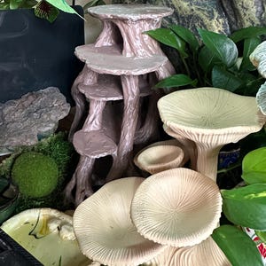 Laurie added a photo of their purchase