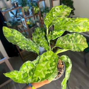 Gabrielle added a photo of their purchase
