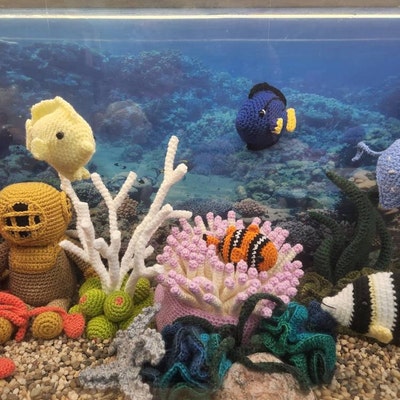 Shell With Pearl Crochet Pattern Amigurumi Mussel With Pearl - Etsy