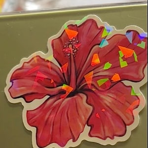 Eliane added a photo of their purchase