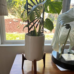J added a photo of their purchase