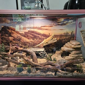 Justin hat ein Foto des gekauften Artikels hinzugefügt