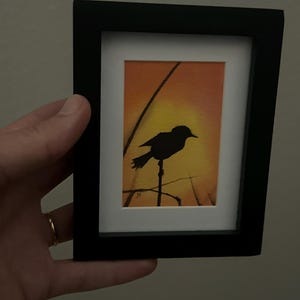 Savannah added a photo of their purchase