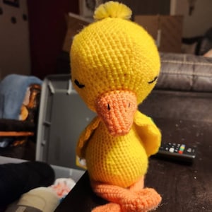 Holly added a photo of their purchase