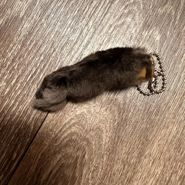 Rabbit Foot Keychain - Sustainably Sourced - Hind Foot - Etsy