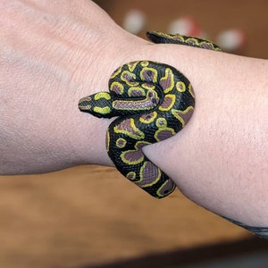 Adjustable Snake Bracelet - Etsy