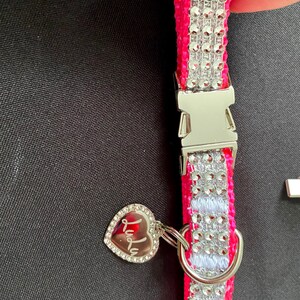 Carol added a photo of their purchase