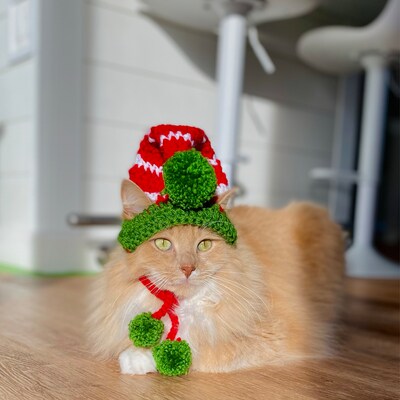 Elf Hat for Cats, Cat Elf Hat, Holiday Cat Hat, Christmas Hat for Cats