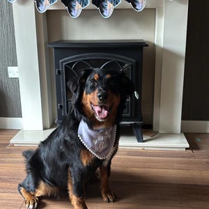 Sareena added a photo of their purchase
