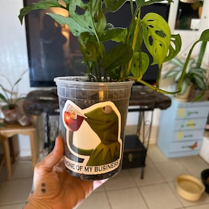 Joyce added a photo of their purchase