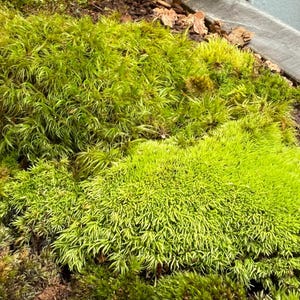 Pete ha añadido una foto de su compra