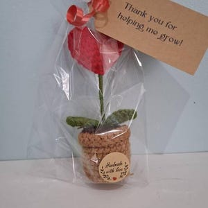 Rita added a photo of their purchase